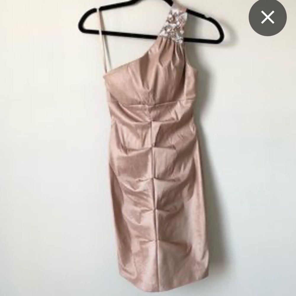 Cache blush pink champagne beaded one shoulder ruched‎ mini dress size 2